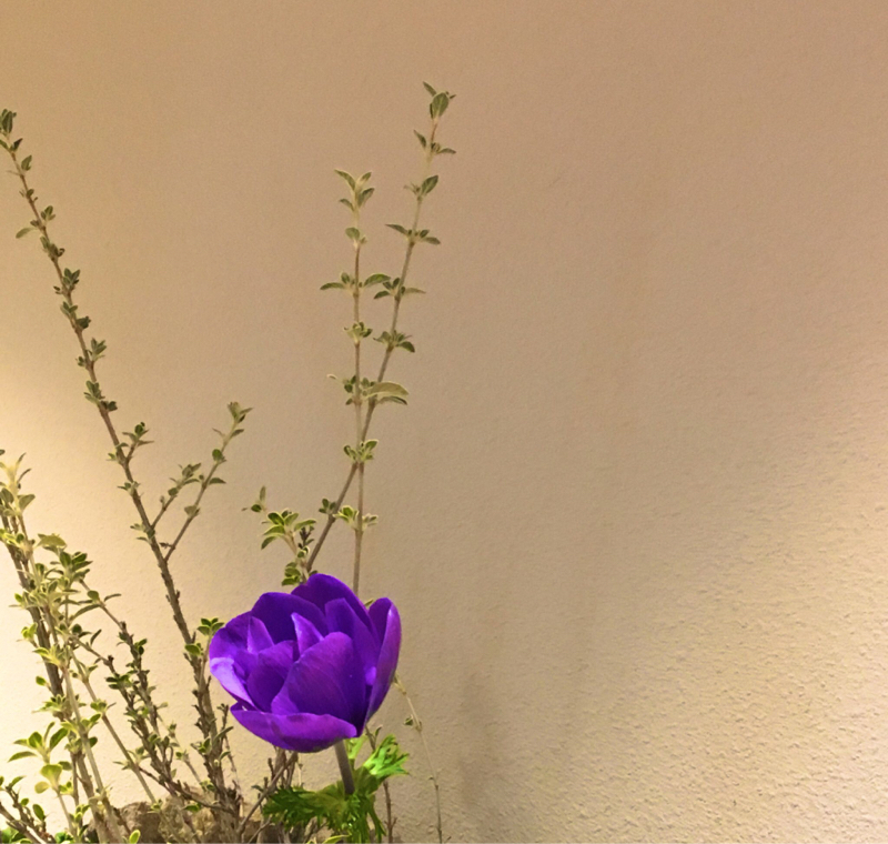 #番外 文字書きさんに聞きたい15の質問