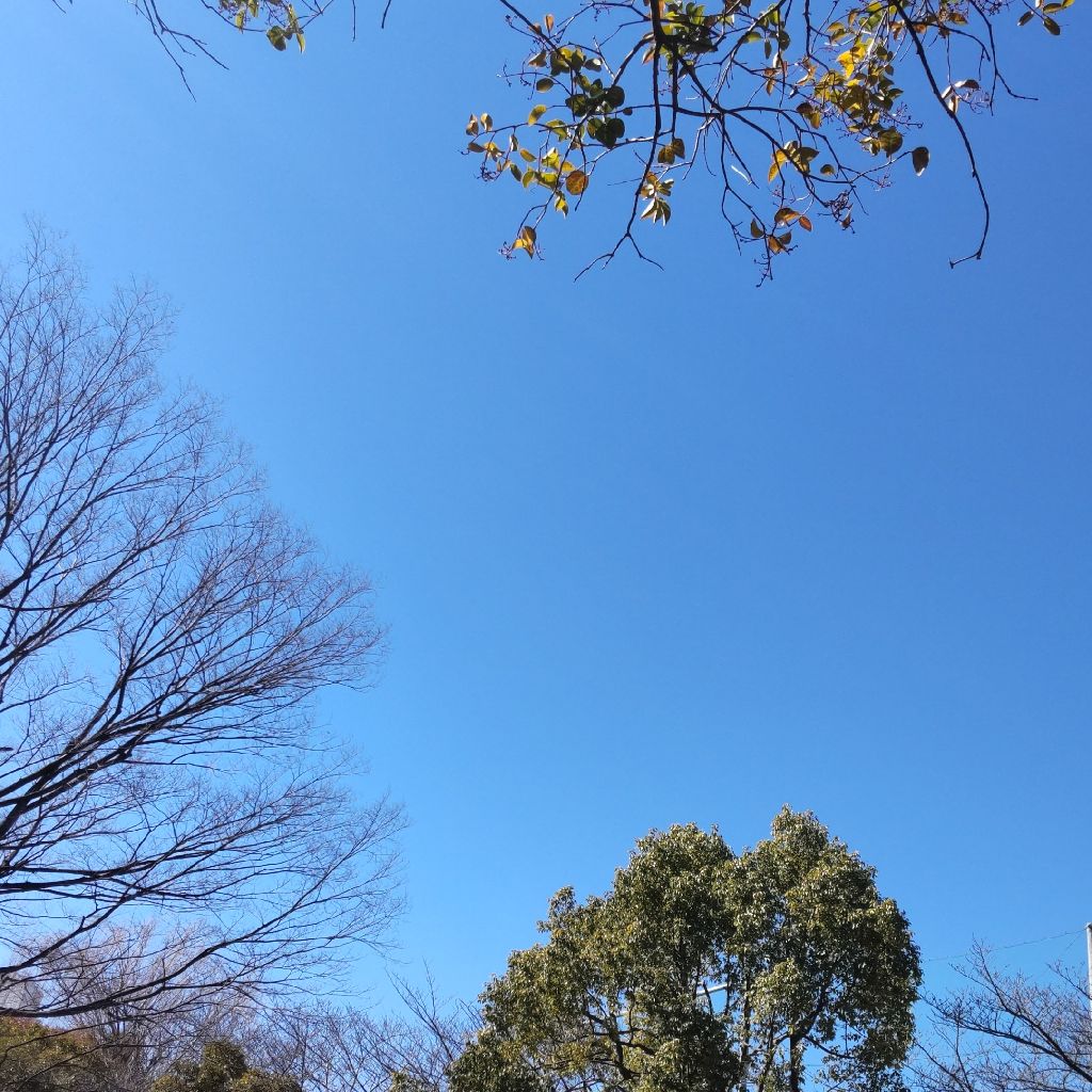 ADHD、適応障害　闘病日記