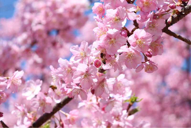 #31 平成元年生まれ