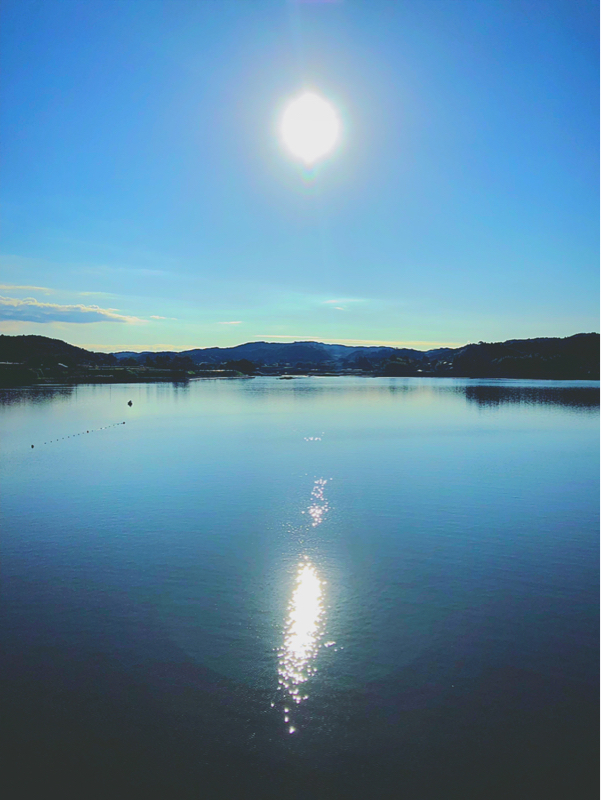 中身が無さすぎる