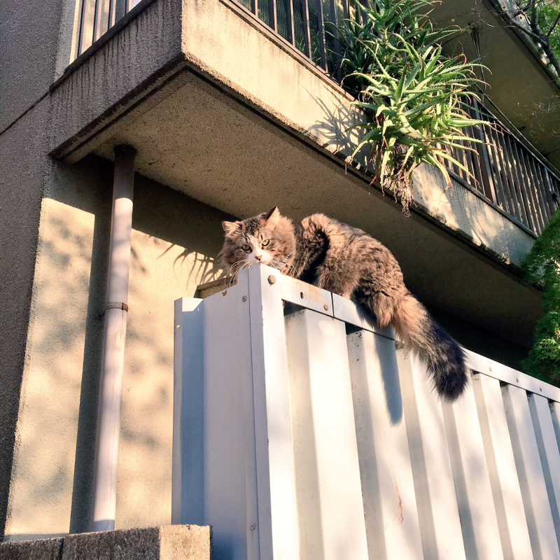 Radiotalkをやってみて気づいたこと