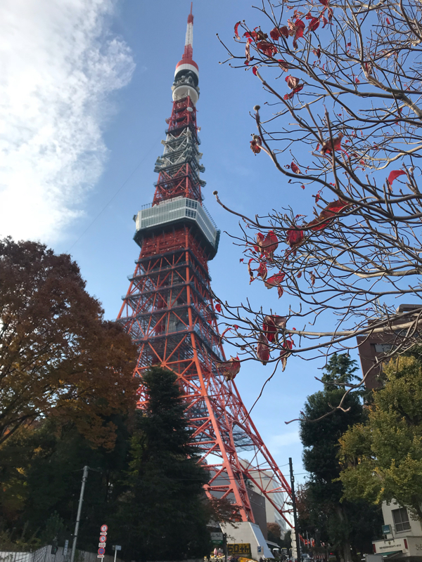 最近の悩みを滔々と話す回