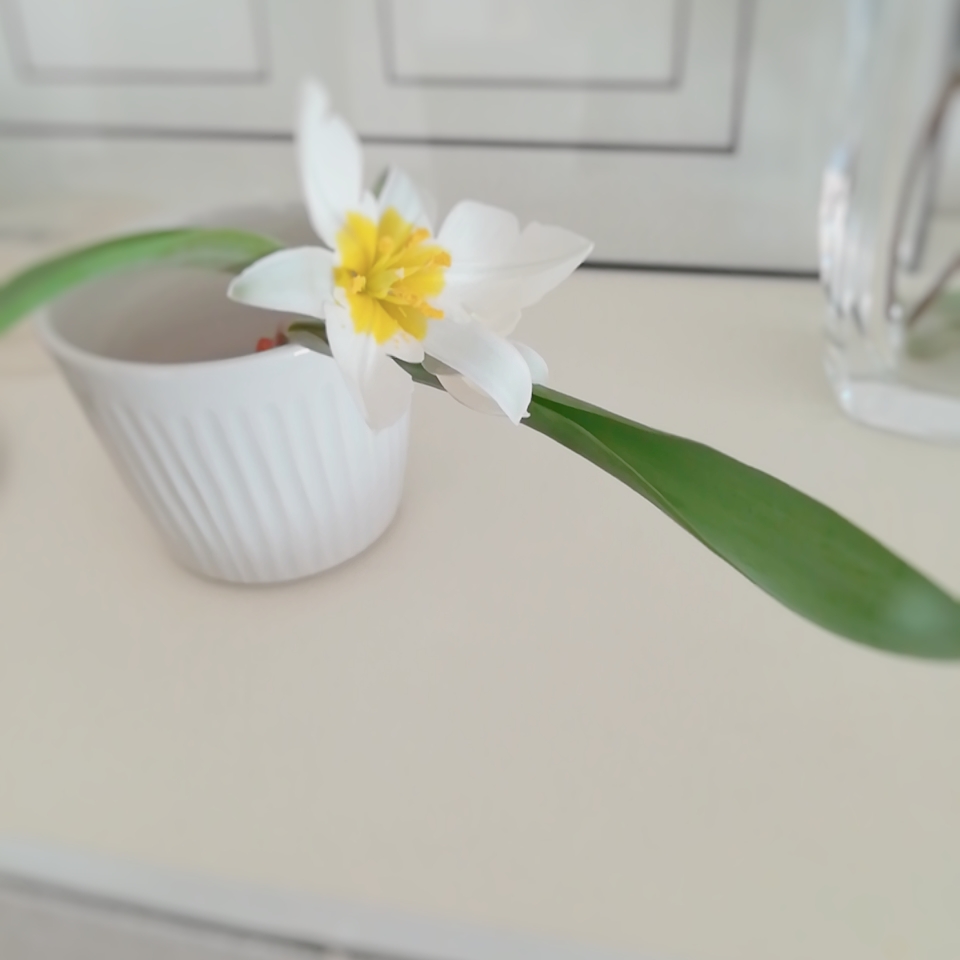 グレイヘアについて