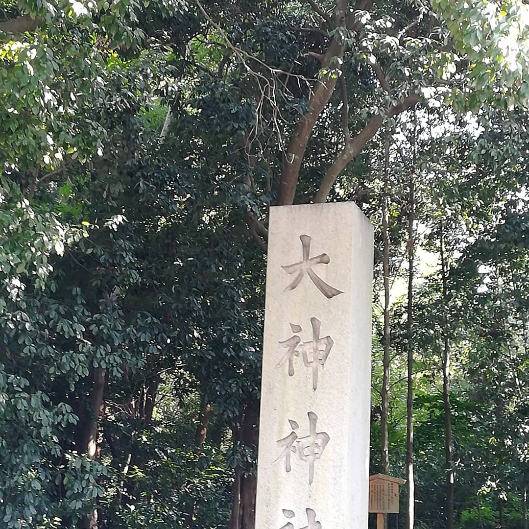 #4最近読んだ本の感想