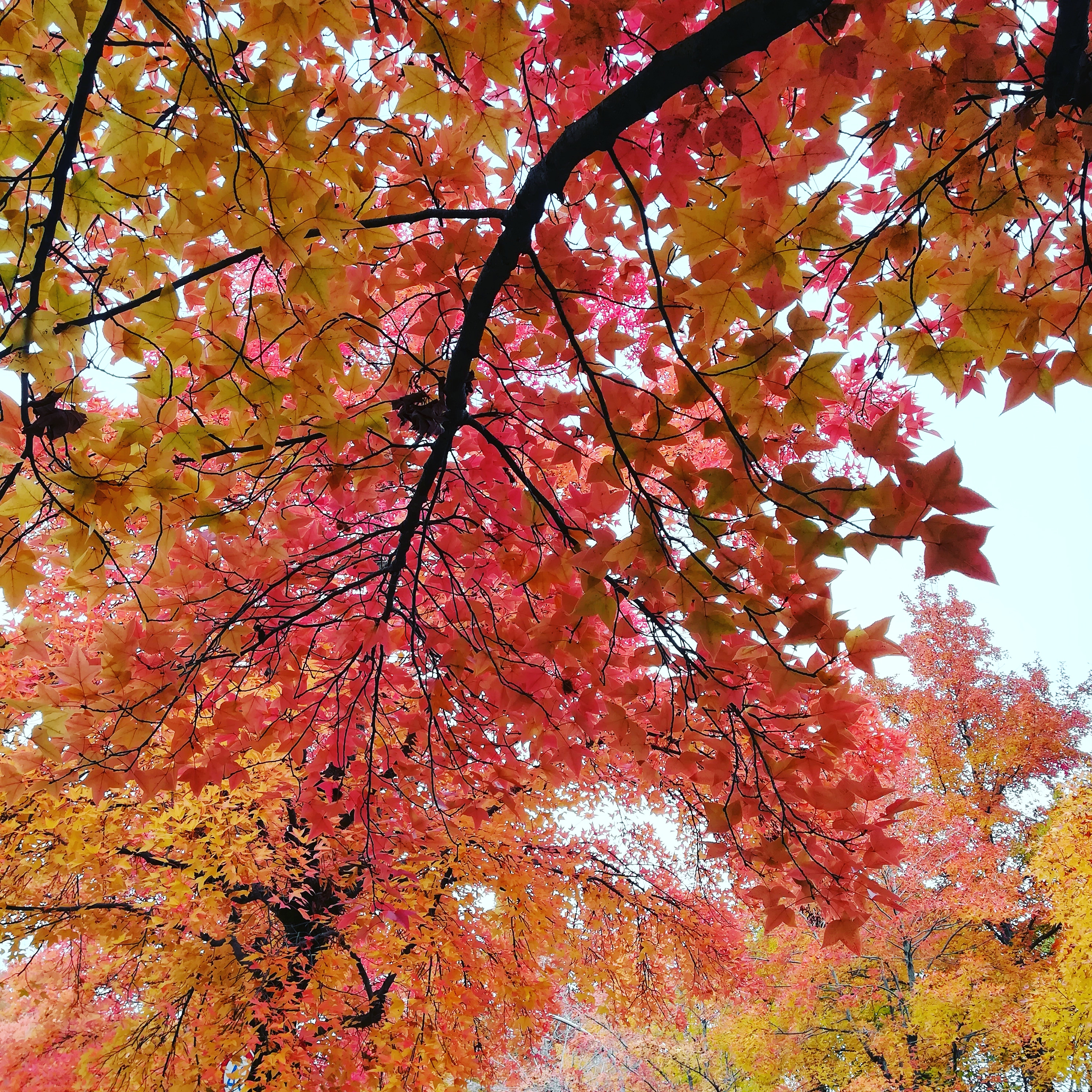 #5つらつらと雑談