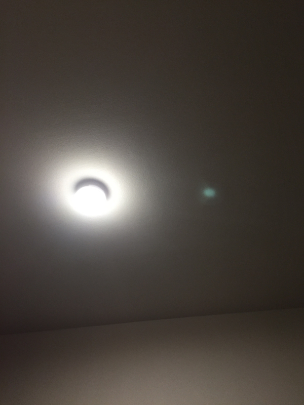 ゴールデンカムイの尾形百之助についてしゃべる