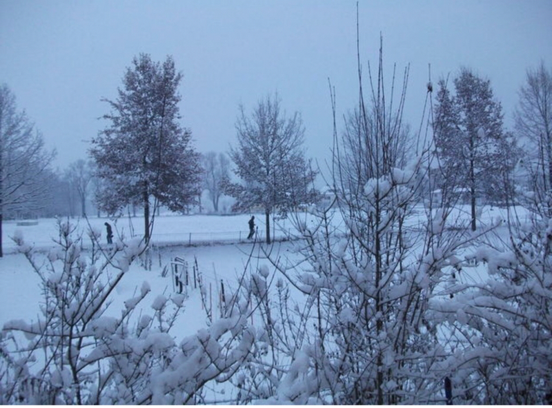 久しぶりに話しています。