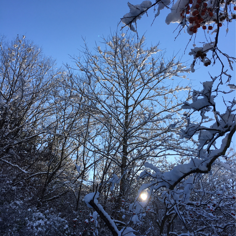 昨日の続きの話。