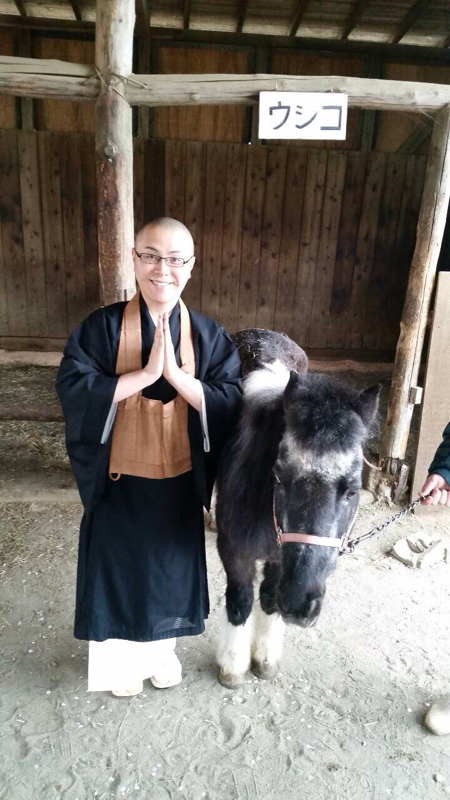 "馬の耳に念仏"は本当か！？を検証した話。