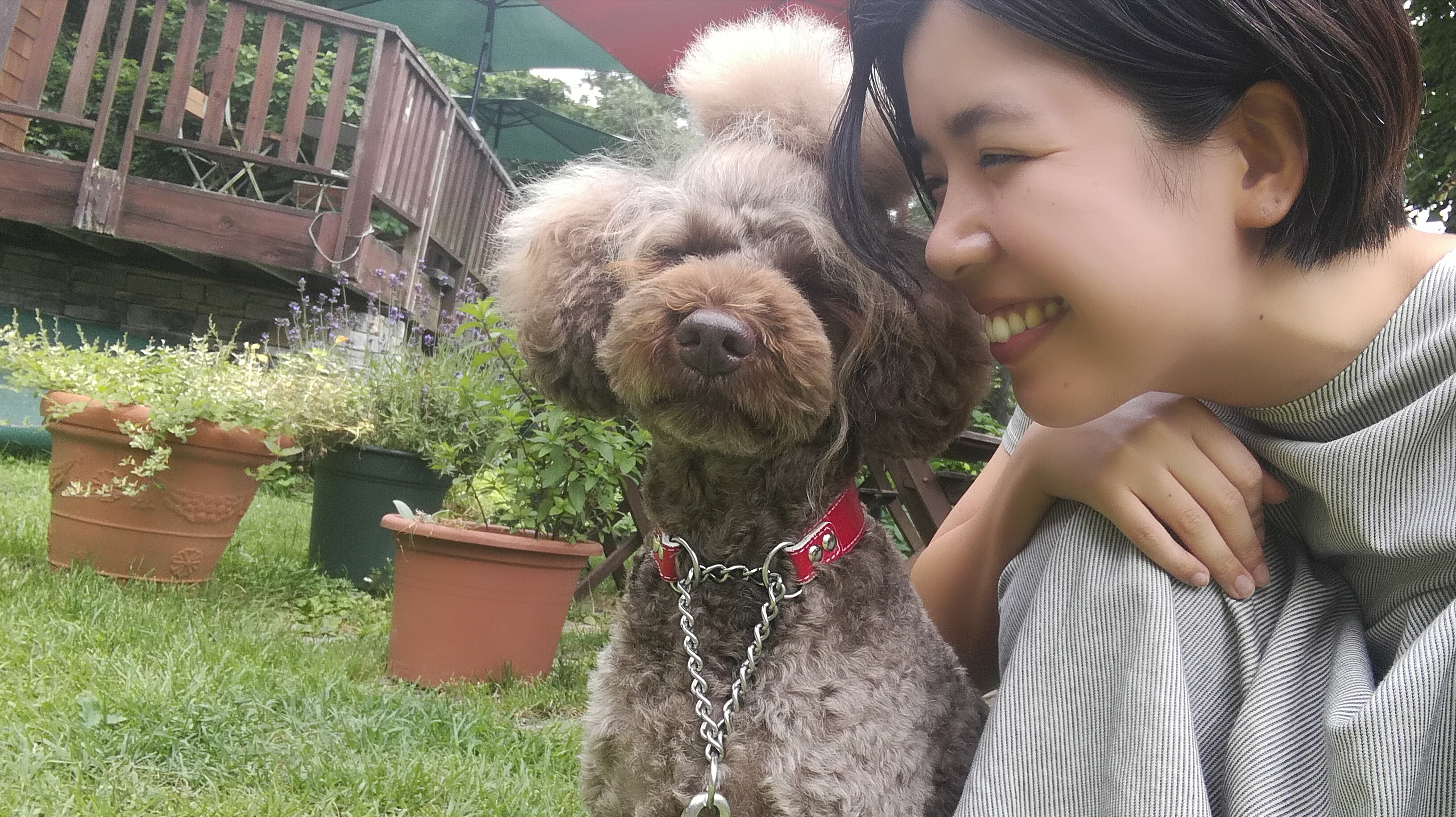 【番外編】 #恋人にしたい動物 #結婚したい動物