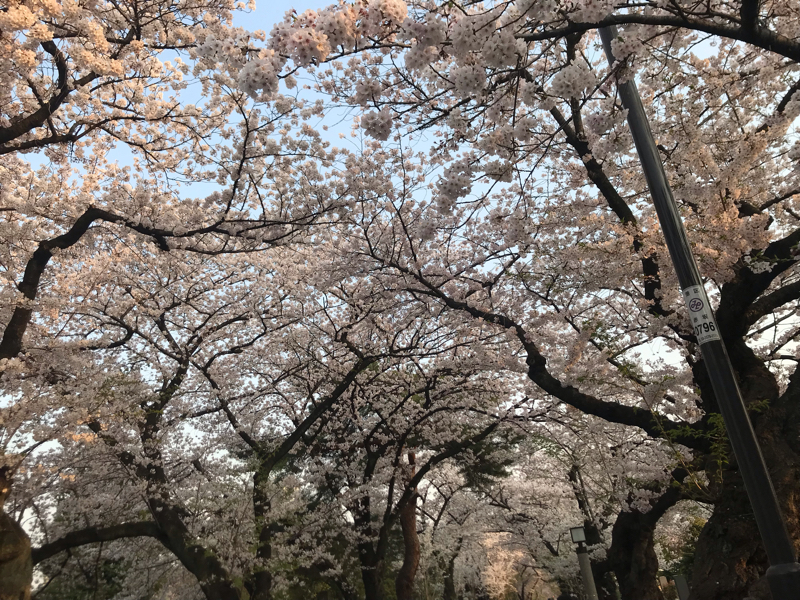 好きで繋がるは年号も超えて