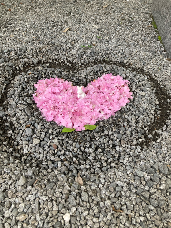 【日常 雑談 毎日配信 】恋の行方と恋って、どうやってするんやったけ?