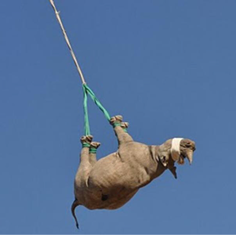 第211回　フリートーク