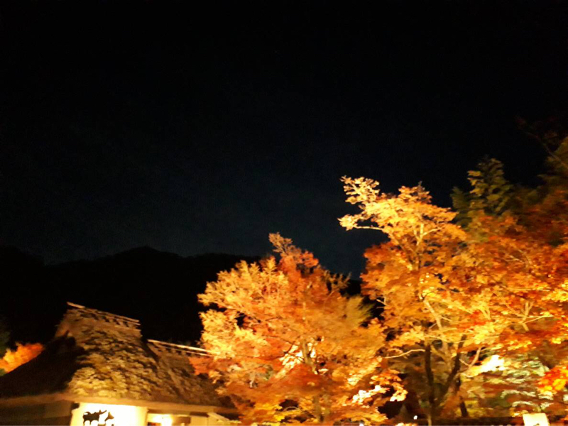 トムのprivate room:ウォールステッカーの失敗談🌟