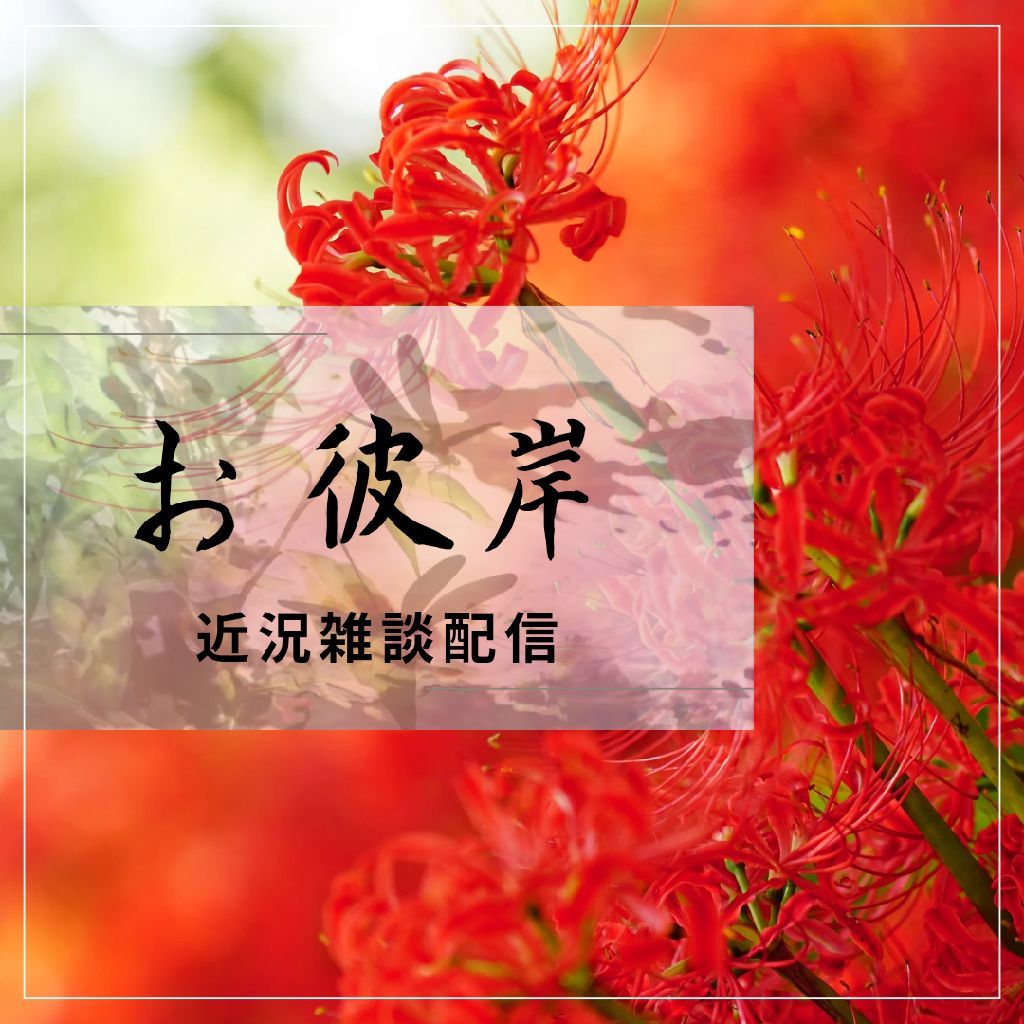 近況雑談作業配信/激ゆる