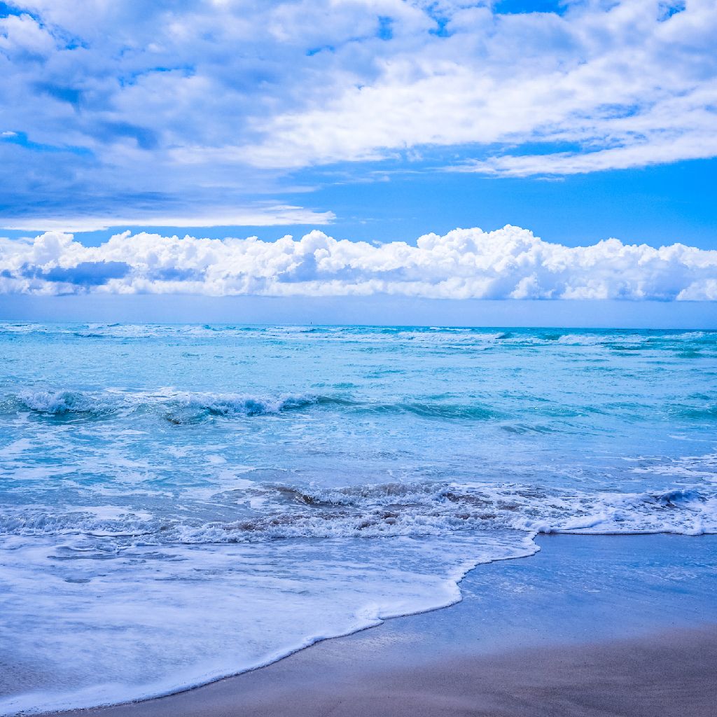 たくろうの海レール