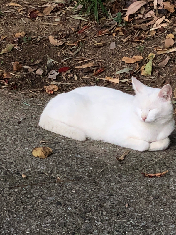 高校卒業して変わったこと