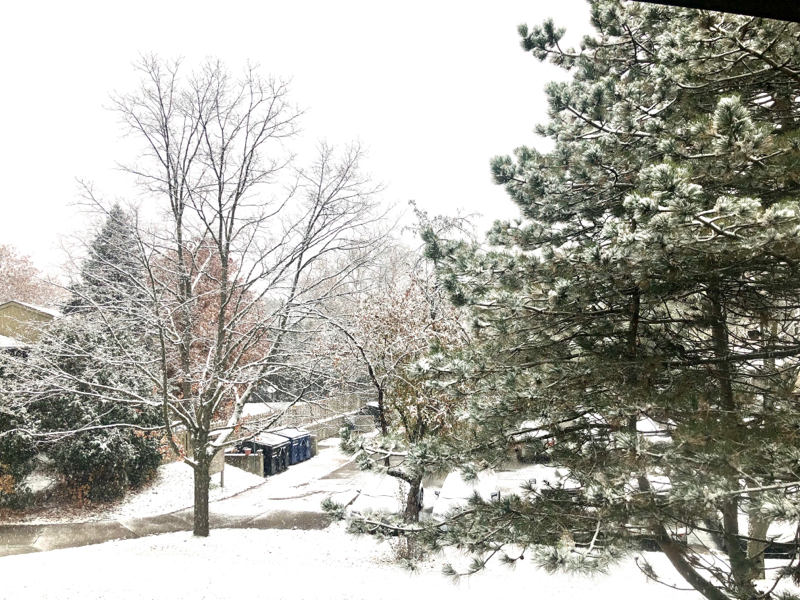 002 今住んでいる町アナーバーについて