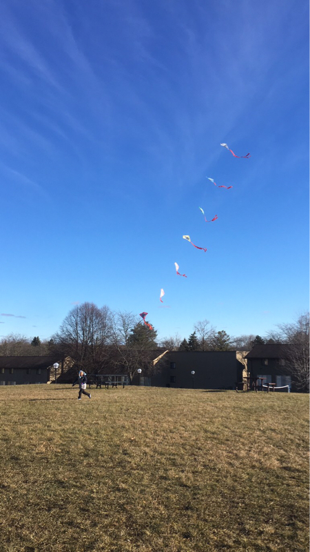 036 私がSNSでお気に入りの媒体