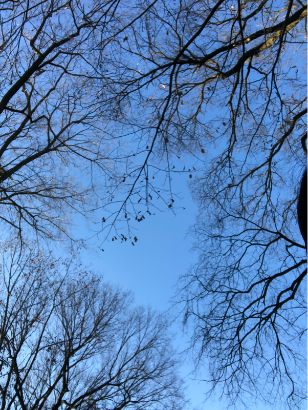 045 季節を感じる教材