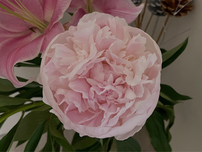 2026今年の色！パントン編も！