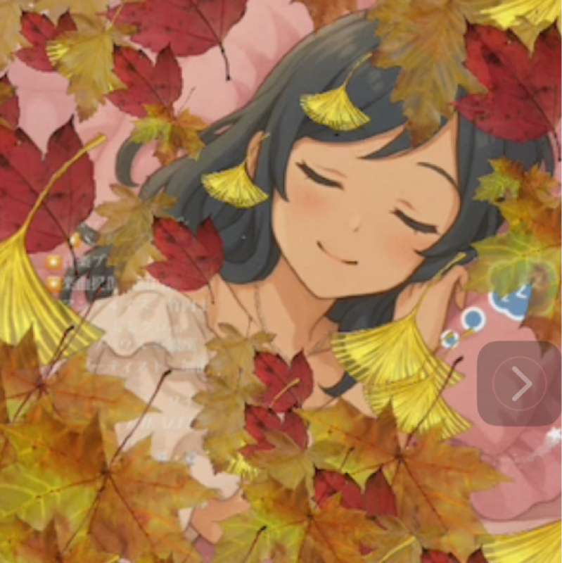 #219 国際非暴力day🇺🇳✨10/2 戦争したことがない国とは?✨🌏