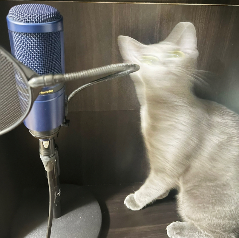 猫は可愛い、そして師でもある【猫トーク後半】