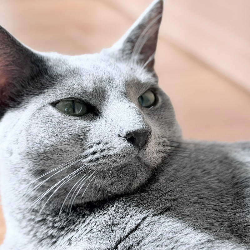 そこじゃないだろ、ってとこでずっと引っ掛かる