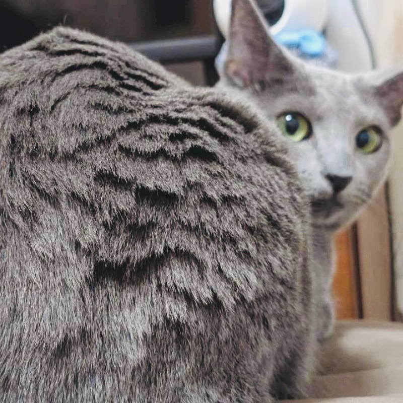 母親教室にて、最前列で緊張走る私の尻《産前ログ》