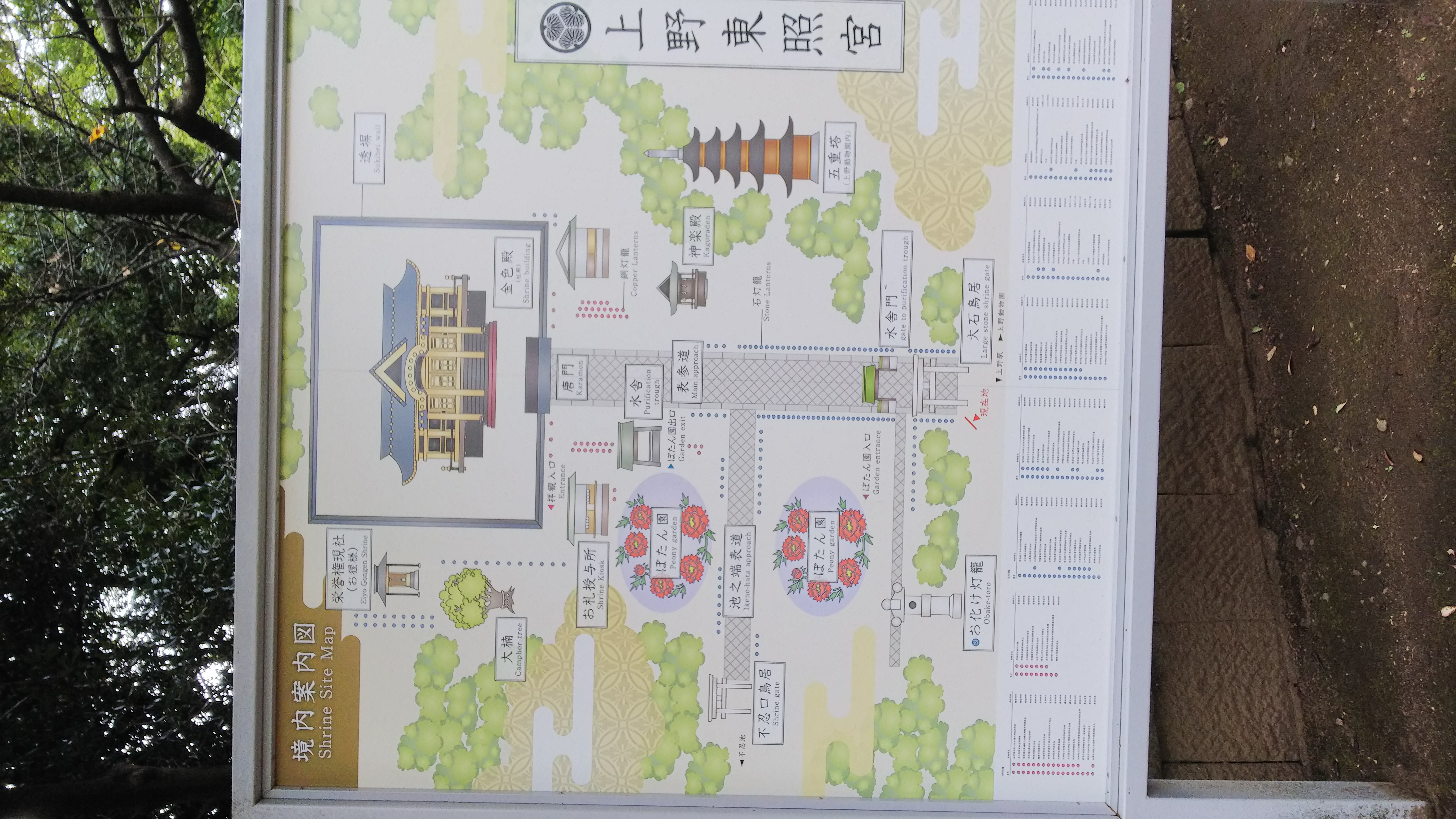 2回目　孫は腐っていた