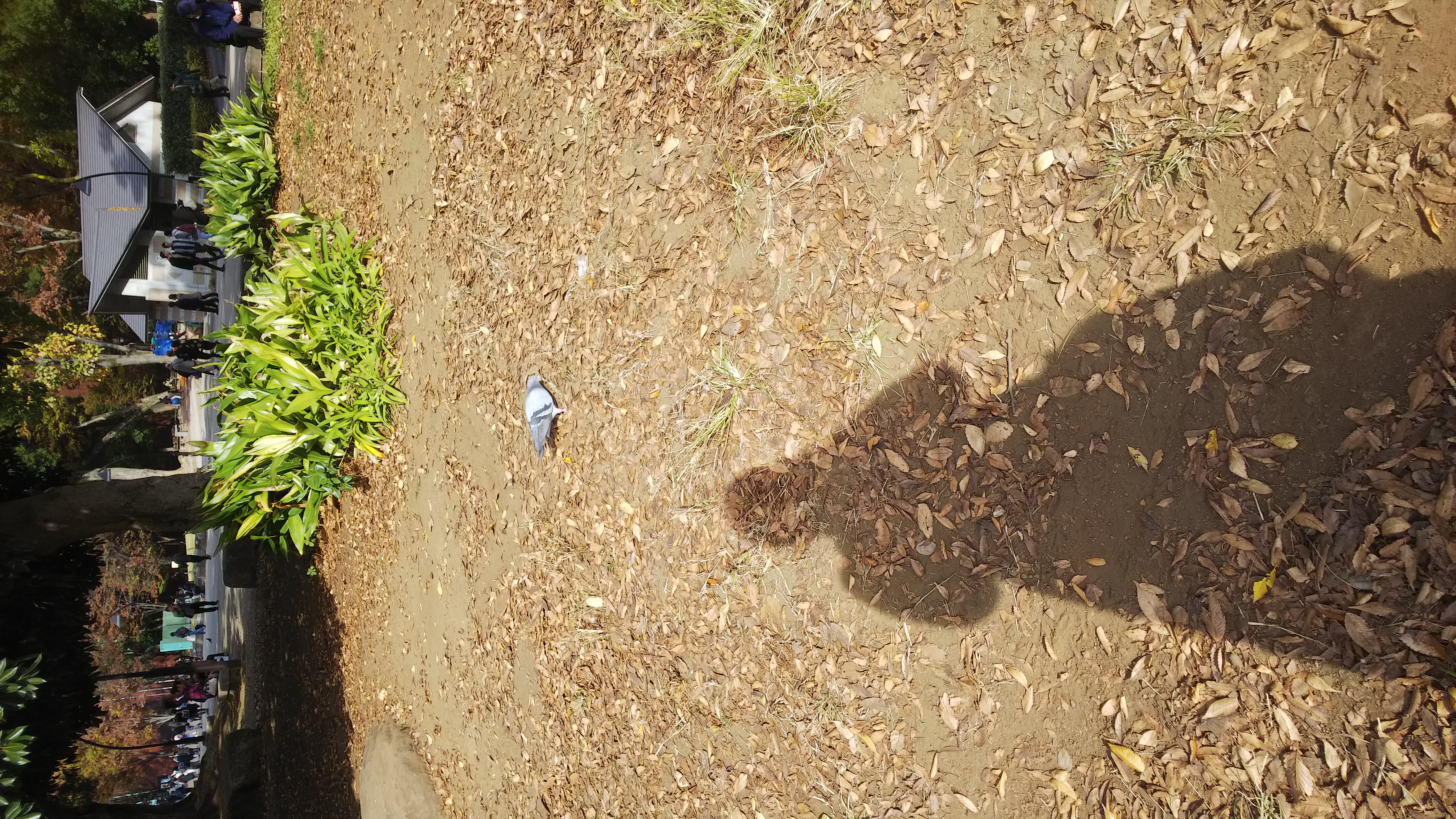 55回目　BL映像モノって割とあるんですよ。という話。