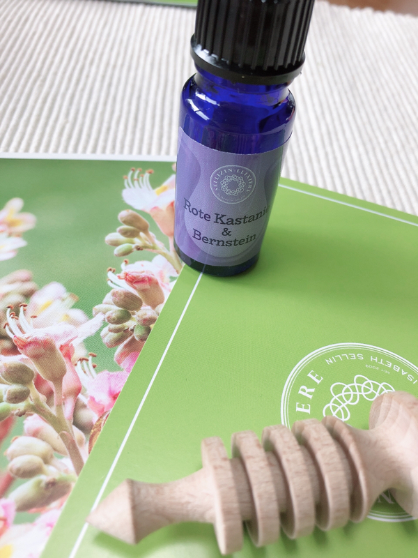 ゼリツィンからのメッセージ