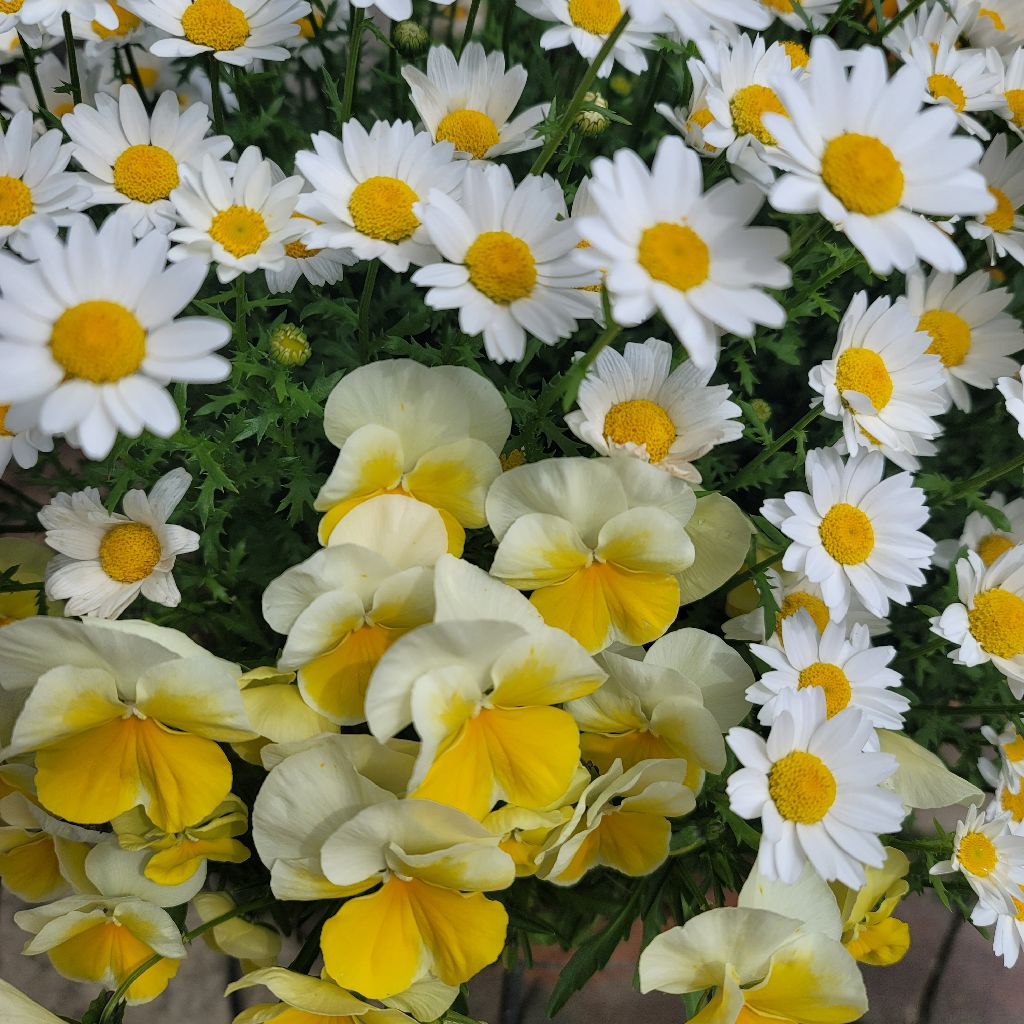 今まで人にあげた中で1番高額なプレゼント🎁