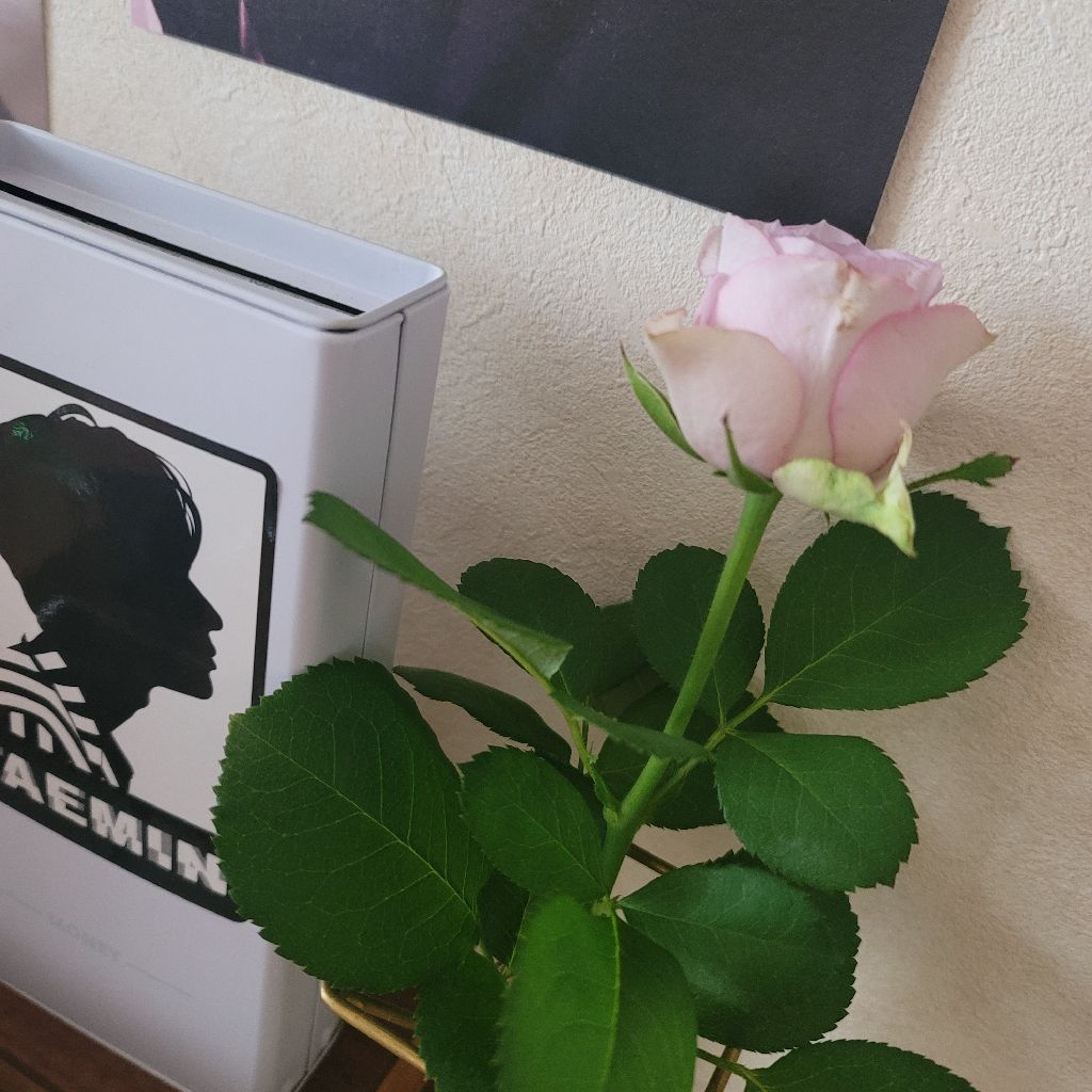 テミンくん～🍑