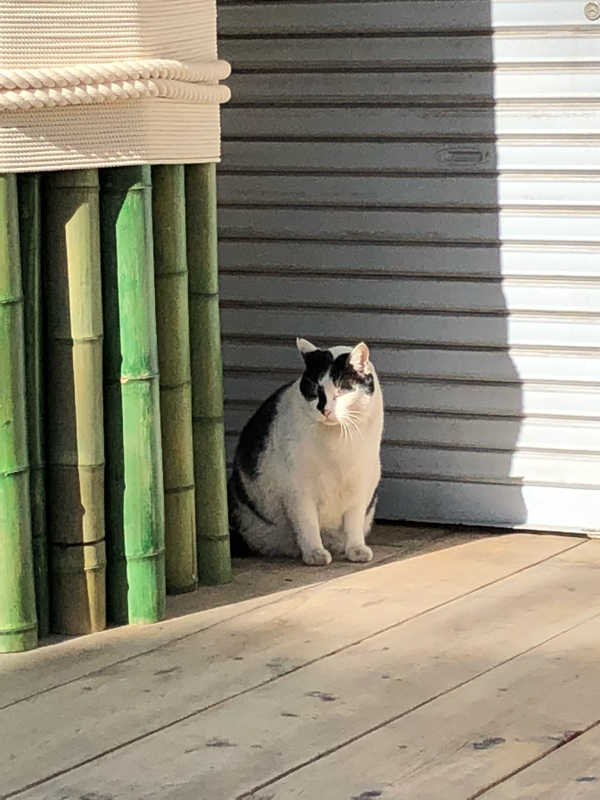 ユラリユルレリ白夜と暗夜