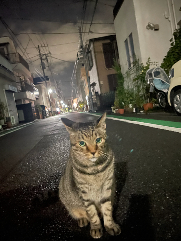 FM天界からお送りする云々観音ラジオ〜漆⑦〜