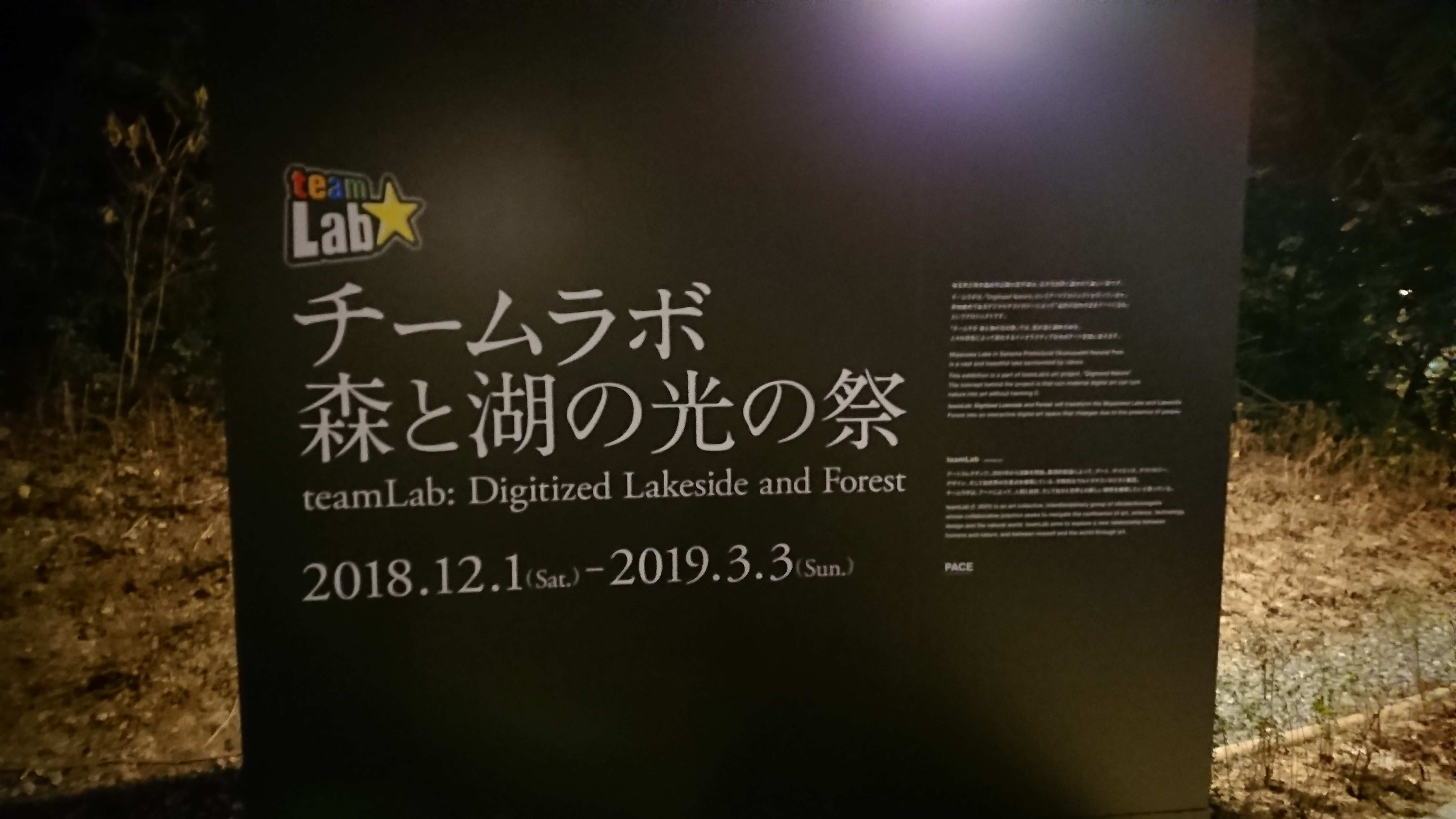 #30「満点の星空と光のアート」チームラボ森と湖の光の祭典　