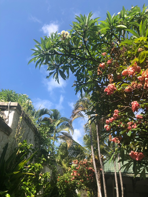 弾き語り回vol.4 恋が終わるならせめて夏がいい、話