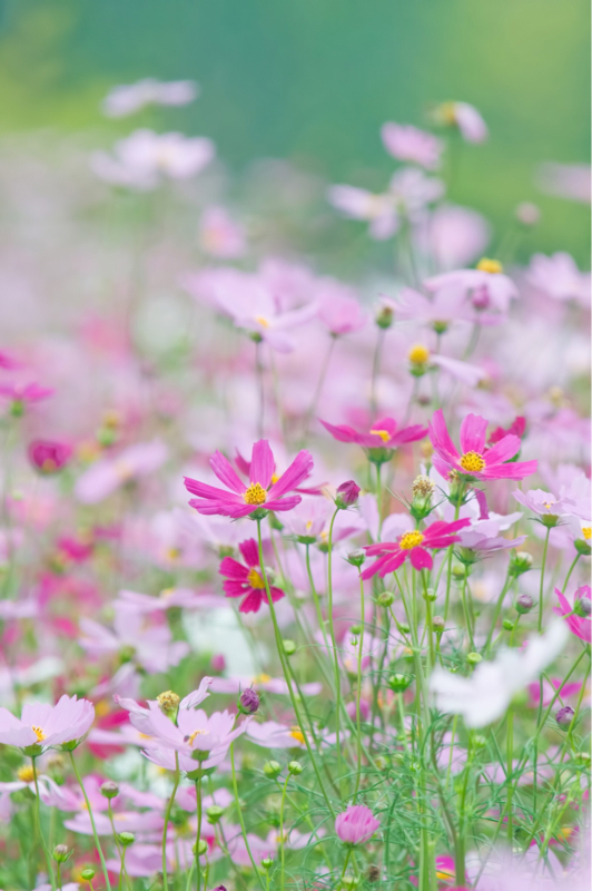 ♯3潜在意識と顕在意識