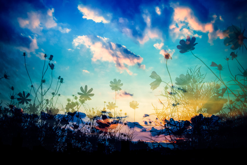 #4 魂（宇宙）と繋がるってどういうこと？その①