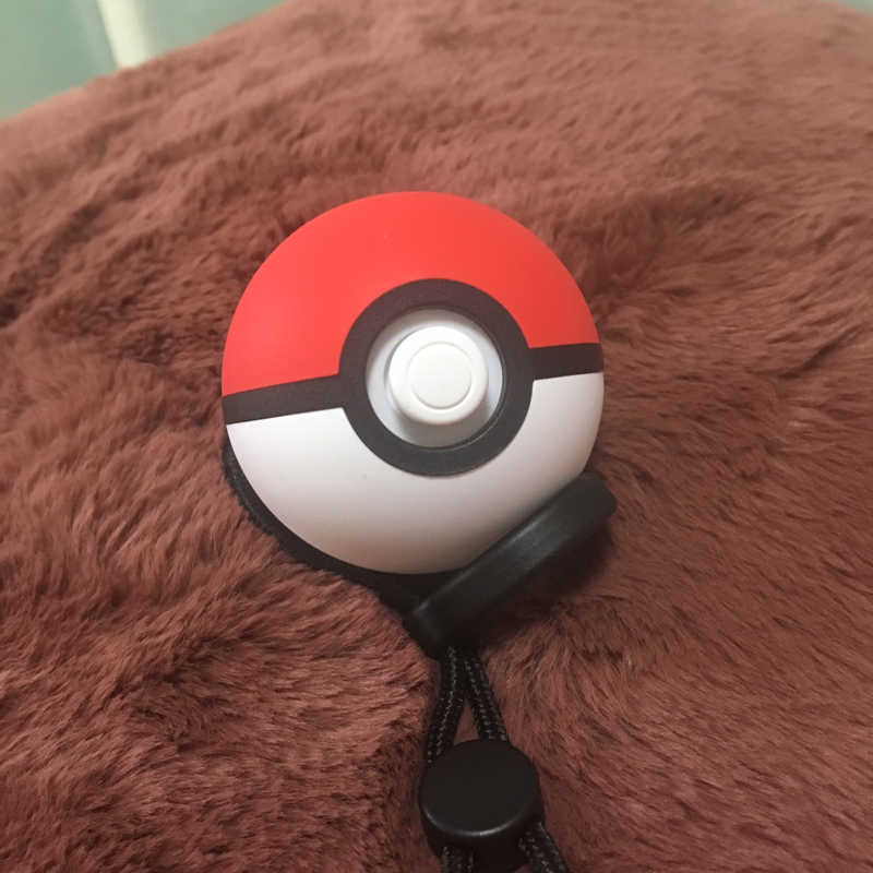 掃除してるだけ