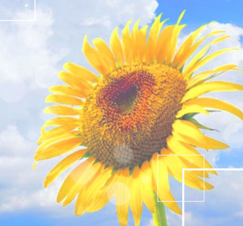 「人生の目的を知るメリット！」