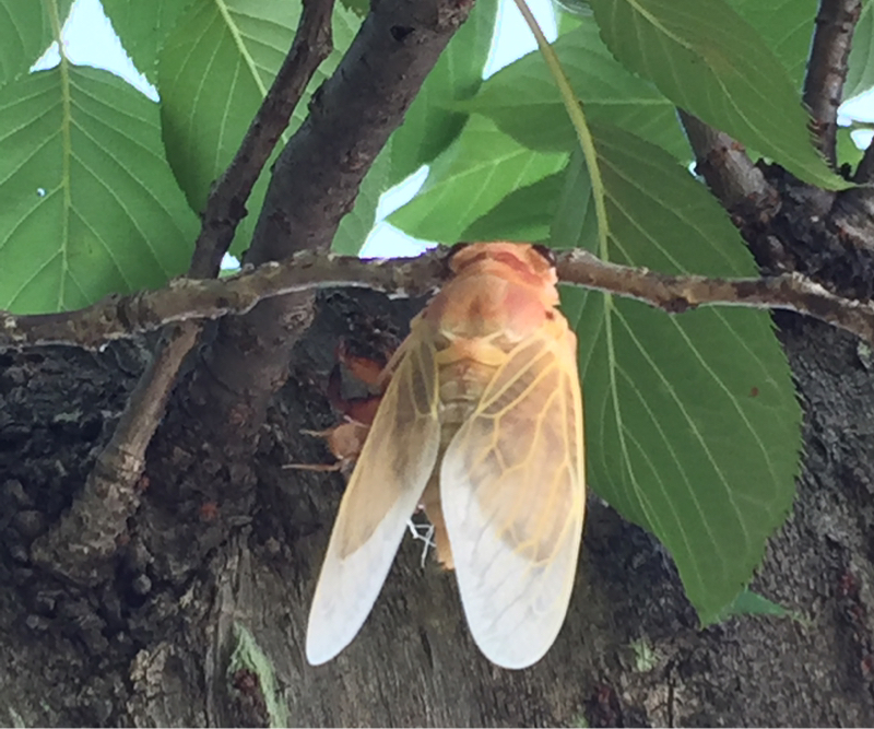 おかえり