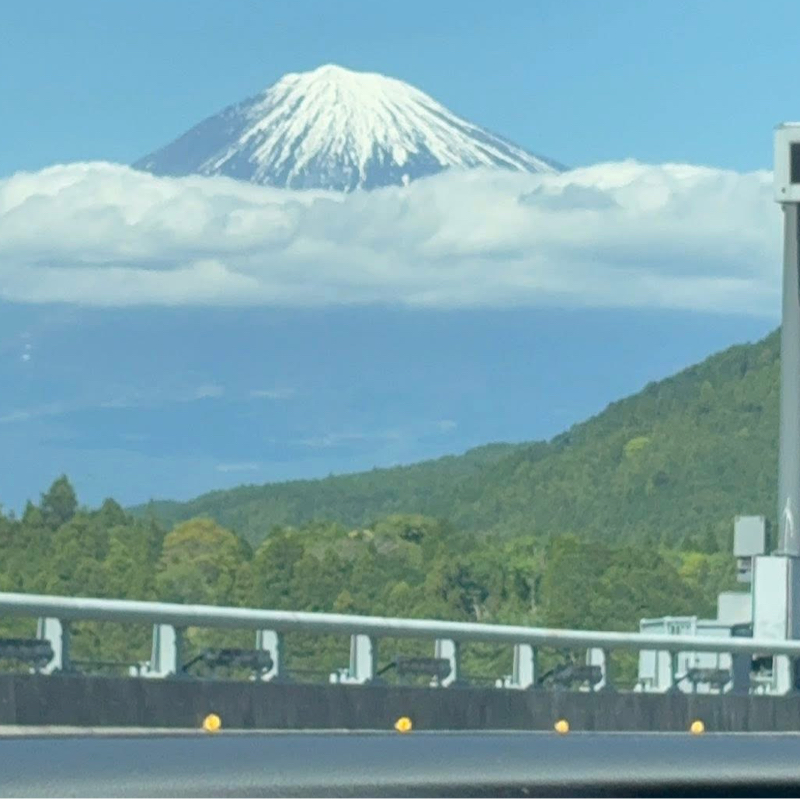 岡崎のSAで買った安永餅　#1,251