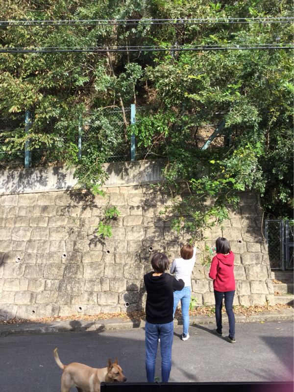 vol.78 イイ女になる前にどんなヒトで在るか？