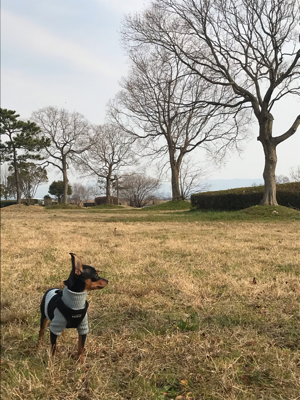 vol.99 イイ女は変わる部分と変わらない部分を持つ