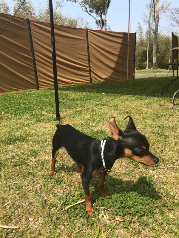 vol.127 イイ女はかわし上手笑