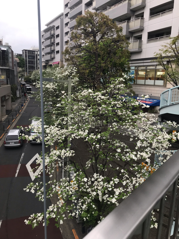 vol.129 人は心体同一で生きている