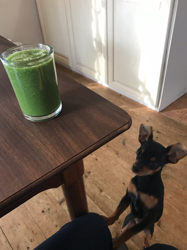 vol.147 美味しく食べて健康でいるための投資