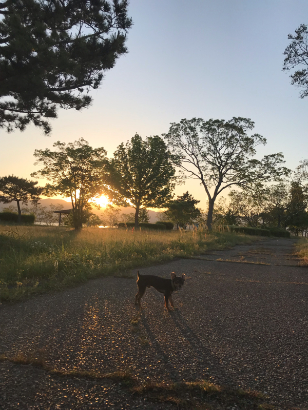vol.160 新しい家族がくれたもの